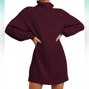 Turtle Neck Ribbed Sweater Dress